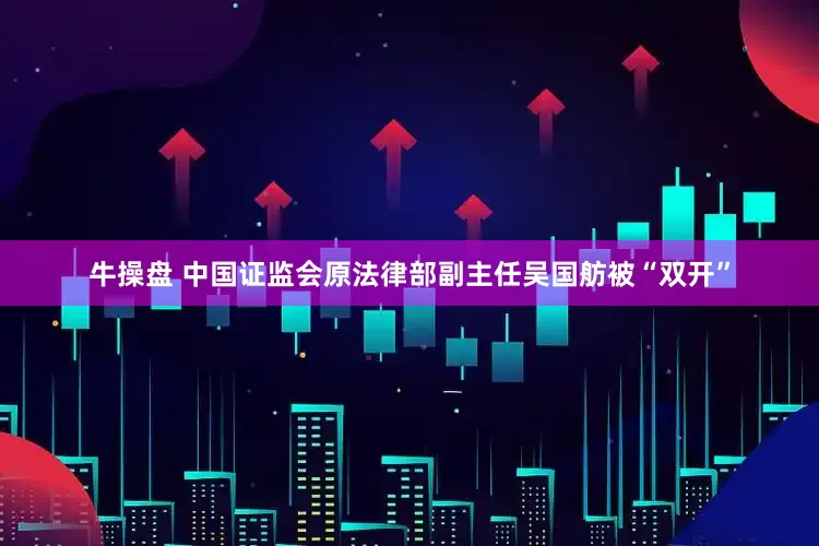 牛操盘 中国证监会原法律部副主任吴国舫被“双开”